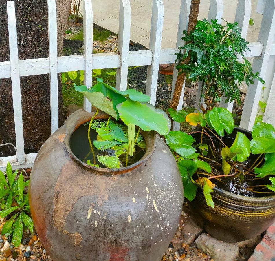 Lotus Corner - Heritage B&B Luang Prabang Eksteriør bilde